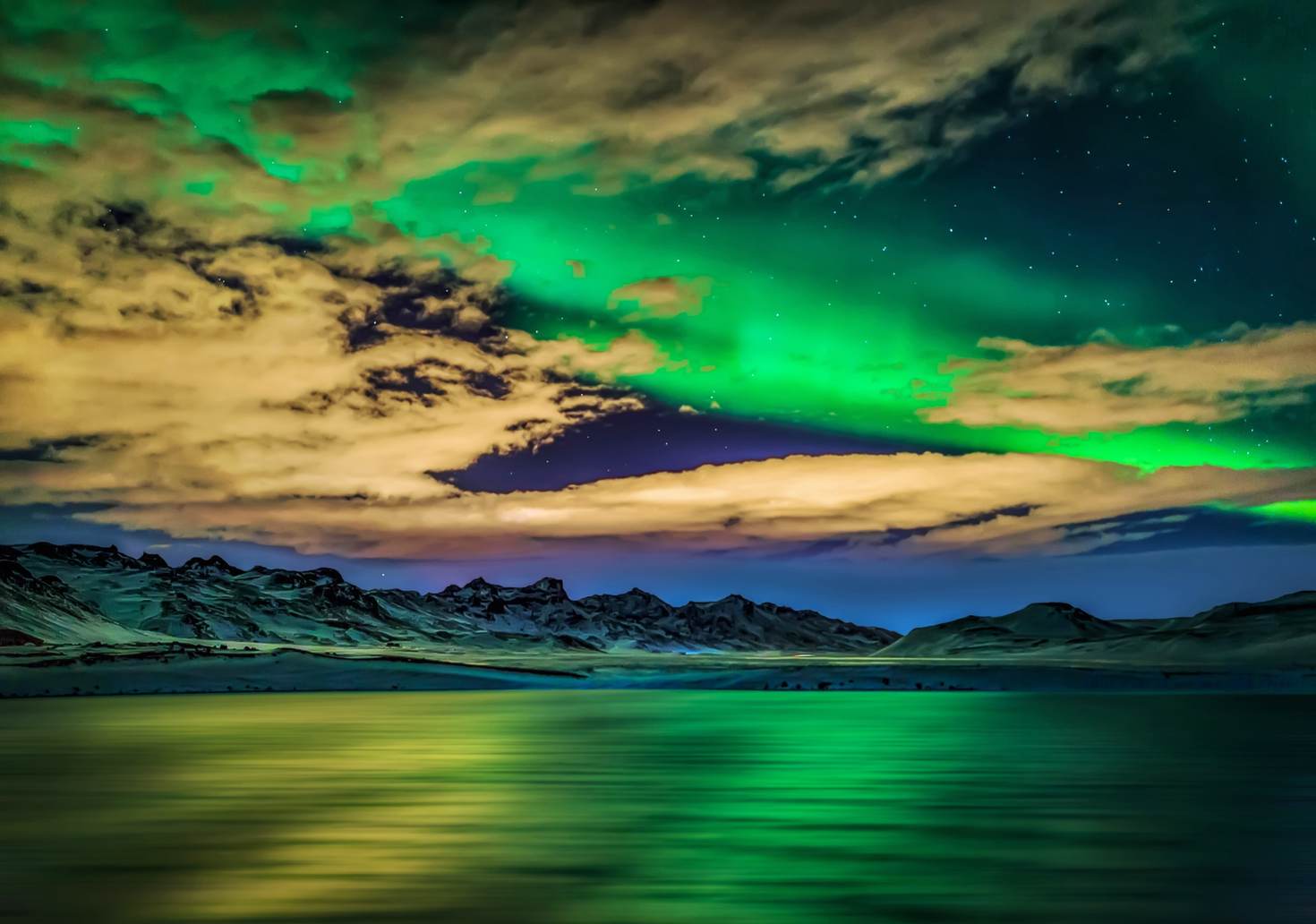 Iceland Archives - Interfaith Vegan Alliance